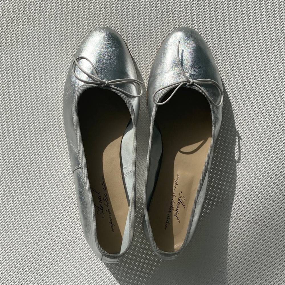 Anniel Silver Ballet Flats - A Forever Chic Classic